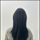 MAVE 헤어