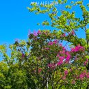 부산시민공원(Busan Citizens Park, 釜山市民公園) 이미지