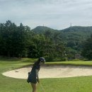 아이언맥스코리아 | 300만원짜리 아이언은 뭐가 다를까? 로마로 알파 레이디 단조 아이언 체험 후기