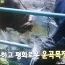 김부자농장 이미지