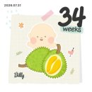 행정34 | 임신 34주차 일상기록 | 잘 먹고 다녔던 일주일