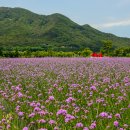 호포역에서 황산공원 지나 물금역으로 이미지