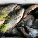 풍년건강원 이미지