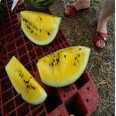 신엄농산물 직거래장터 이미지