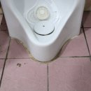 한나루로 이미지