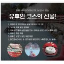 후쿠오카버스투어 예약하기 / 예약팁 / 유유버스투어