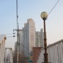 통일육교
