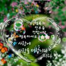 사랑으로 이미지