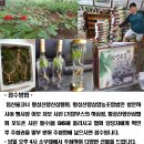 사랑해한우 이미지