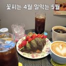 꽃피는4월밀익는5월 이미지