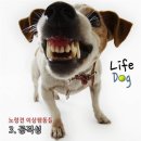 수에스테틱 이미지