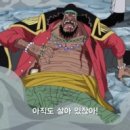 티치 이미지