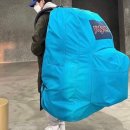 블루코인 이미지