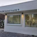 셀레네 동물병원 이미지