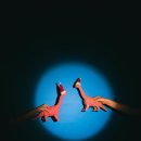 여행자의노래 | 멕시코 인형섬을 방문한 여행자의 소름돋는 후기: 믿을 수 없는 경험 7가지!