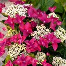 카페친구 이미지