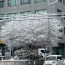 서후상회 | 2월 일상(3) - absolutely love