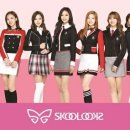 스쿨룩스;동