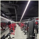 드래곤짐 이미지