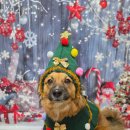 달콤하우스 이미지