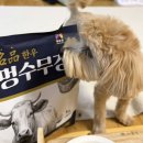 대한사료대리점 | 기호성 좋은 사료, 목우촌 멍수무강 소프트 사료 소(한우) 후기 🐶