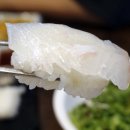 마산역 | 창원마산합성동횟집 마산역맛집 물마루 후기
