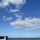 명진 | 제주세화 전복거리 <명진전복> 솔직후기 냠냠