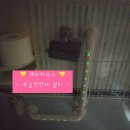 거동이 불편한 할아버지를 위한 욕실 안전바 설치 후기 / 쁘띠하우스