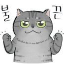 스타일업마네킹