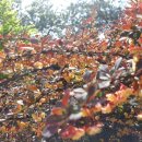 낙산한의원 이미지