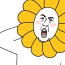 평동산단연산로 이미지