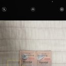 채원텍스 이미지