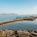 비토마을 | 생생정보 미스터 Lee의 사진 한 컷 경상남도 사천시 비토섬 비토어촌계 거북선마을(+위치 가는방법)