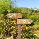 무동골전통장 네이버블로그