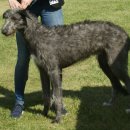 우아한개 이미지