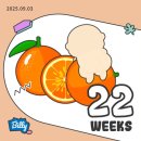 바로세움의원 | [임신22주] 이대서울 출산리허설, 임산부 요가 필라테스, 애플산부인과 소변검사