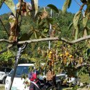 만덕3동-5 이미지