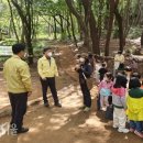 진해 유아숲체험원 이미지