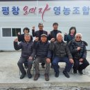 평창오미자영농조합법인 이미지