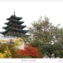 국립민속박물관 이미지