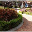 묵정어린이공원 이미지