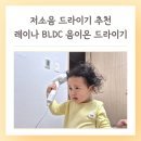 레이나 | 저소음 드라이기 유아동 사용후기 가벼운 레이나 BLDC 추천 아기 출산 선물