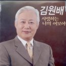 여보여보야