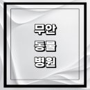 21세기종합동물병원 | 무안군 근처 동물병원 추천 정보 | 24시간 잘하는곳 고양이 강아지 중성화 수술 애견 가격 비용 금액 후기