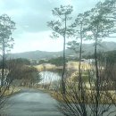 횡성그린 골프연습장 | [겨울골프 옥스필드CC] 리얼 라운드 후기... 그린 상태부터 카트 내 흡연까지 '총체적 난국'