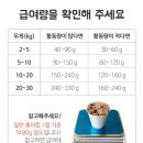 젠틀펫 이미지