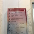 압구정로데오네일, 겨울 네일 추천 몰리업네일앤래쉬 후기