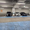 동백쥬니어치과의원 이미지