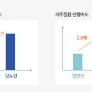 바른정치과 네이버블로그
