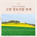 소풍나라 | 아이와 봄 소풍 폭싹 속았수다 촬영지 고창 청보리밭 축제 후기